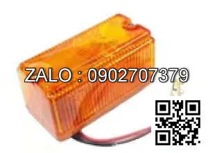 Xi nhan trước 12V