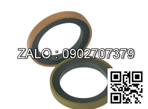 Phốt GSF- 65X95X14 65x95x14