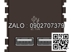 2 cổng sạc USB 2.1A Clipsal / Schneider 8432USB_BZ