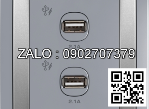 2 cổng sạc USB 2.1A Clipsal / Schneider E3032USB_GS_G19
