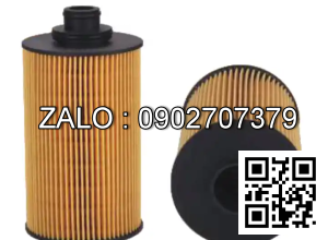 Lọc WP6 13055724 Weichai