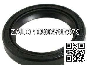 Thay phốt ty ben nghiêng xe nâng