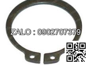 Phe biến trở chân ga