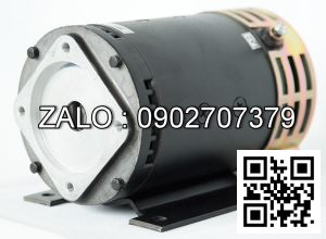 Steering Motor XQD-0.75-3