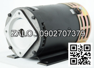 Steering Motor XQD-0.85-1