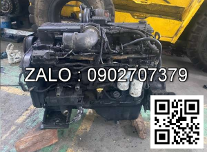 Sửa chữa động cơ YANMAR 4 TNV88-XGP , 4 CYL , CM3