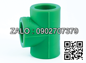 Tê (Tee) đều PPR D21