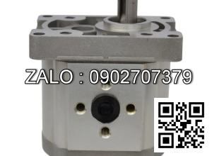 Bơm Thủy Lực CBT-F310-H-R