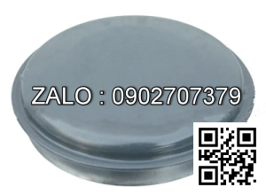 CAP, RADIATOR TCM FD/G20-30 222A2-10211