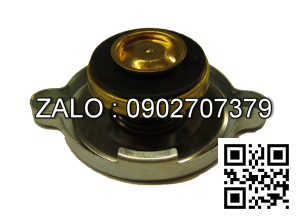 CAP-RADIATOR 13 PSI 2022397