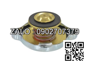 CAP-RADIATOR 1352140 HY