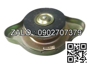 CAP-RADIATOR 7 PSI 379497