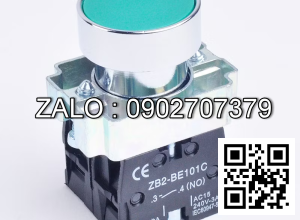 SWITCH-PUSH BUTTON 985838 BA