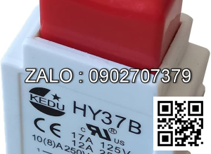 SWITCH-PUSH BUTTON 3007411 HY