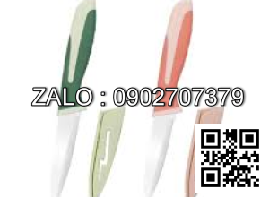 Dao có bọc cán nhựa D655 (Kiện 216 cái)