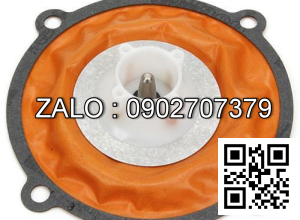 DIAPHRAGM-CARBURETOR ALGAS SA2330-2 LP