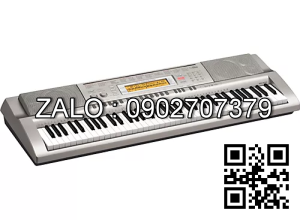 Đàn Organ Casio WK-200