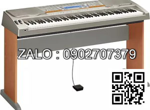 Đàn Organ Casio WK-8000
