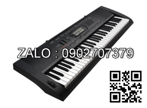 Đàn Organ Casio CTK-3000