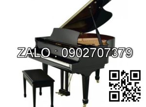Đàn Piano Brandnew Essex EGP-155C