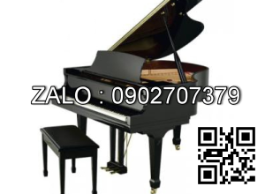 Đàn Piano Brandnew Essex EGP-173C