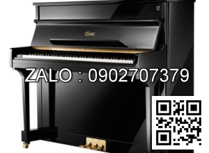 Đàn Piano Brandnew Essex EUP-116E