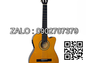 Đàn guitar SDG-6CENL