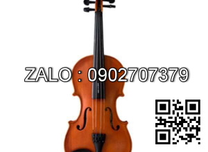 Đàn Violin Harper AGW 208-3/4