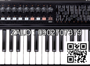 Đàn Roland A300 Pro