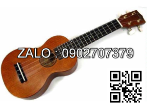 Đàn Guitar Ekulele