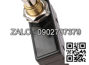 SWITCH-PUSH BUTTON 177MJH1