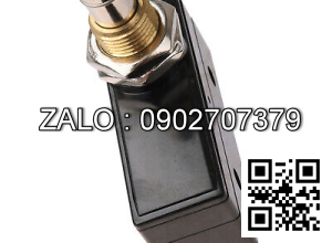 SWITCH-PUSH BUTTON PAL32