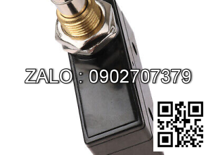 SWITCH-PUSH BUTTON 7004244