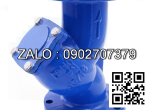 Lọc Y gang mặt bích DN100, JIS 10K