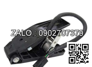 PAD-ACCELERATOR PEDAL 220053596