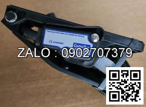 Cảm biến senso FZ3-114-381