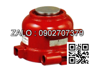 Đội Mini - MMJ-10, MASADA