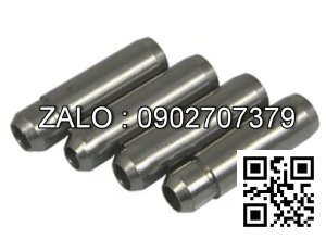 GUIDE, VALVE TCM 4FE1