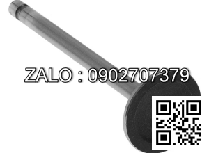 SEAT, VALVE, INLET/EXHAUST TCM 4FE1