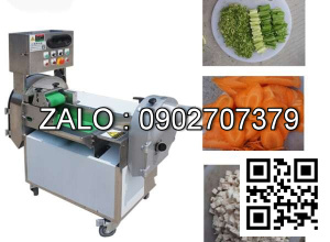 Máy thái rau củ quả đa năng 801
