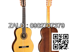 Famosa Classic Guitar FC30S
