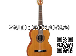 Famosa Classic Guitar FC20C