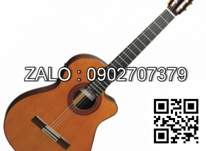 Classic Guitar Almansa 403