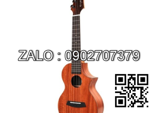 Guitar Classic Stagg C548