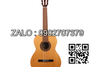 Classic Guitar Almansa 401