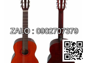 Classic Guitar Việt Nam G120