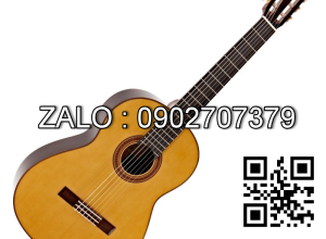 Classic Guitar Việt Nam G100