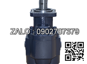 PUMP TYPE S3CBH120190PVTS110UA010S0EN