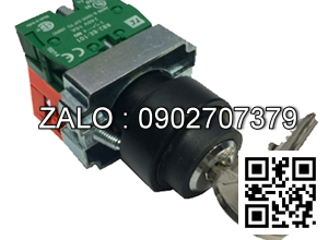 TAY71-102-10 DEAD MAN SWITCH