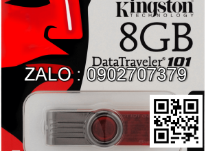 USB 8G Kington Tem FPT